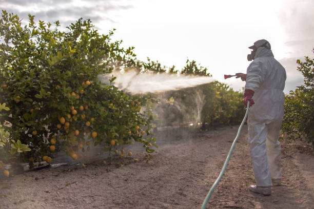 Best Best Pest Control Companies  in Duboistown, PA